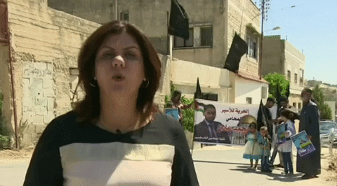 Reporter Palestine GIF by GIPHY News