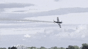 Usa Flying GIF