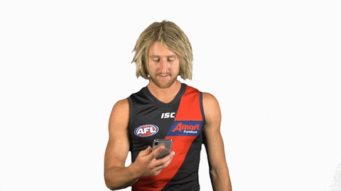 essendonfc giphyupload dons bombers essendon GIF