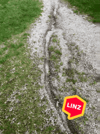Park What GIF by Linz News