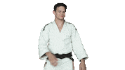 Fight Swipe Up Sticker by Czech judo