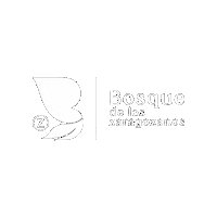 Bosque Sticker by Soy Tacata