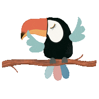 Toucan Sticker