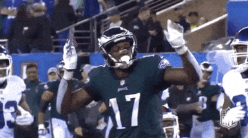 2018 nfl football GIF by NFL