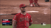 pena GIF by MLB