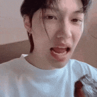 Stray Kids Skz GIF