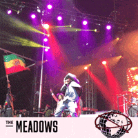 GIF by The Meadows NYC