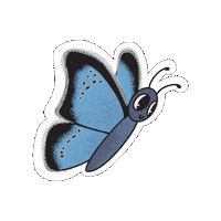 Butterfly Sticker by Parks Conservancy