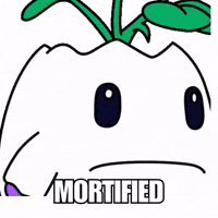 Oh No What GIF by Magic Eden