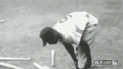 cws GIF by MLB