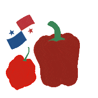 Lcs Sticker by La Cocina de Sofy