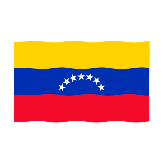 soymarlonbrito giphyupload flag wind venezuela Sticker