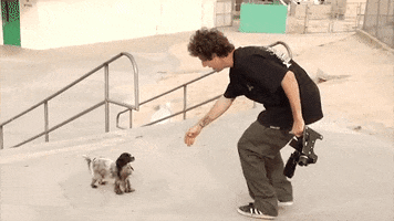 dogs skateboarding GIF