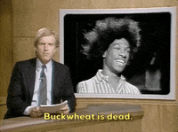 snl nbc snl 1980s eddie murphy GIF