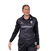 Noise Ear Sticker by Somerset County Cricket Club