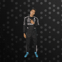 Formula One Family GIF by Mercedes-AMG Petronas Formula One Team