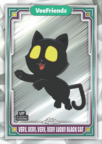 Black Cat GIF by VeeFriends