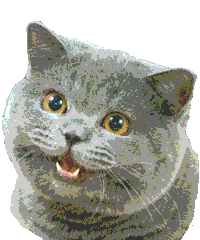 talking john cage GIF