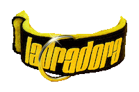 Musica Mujeres Sticker by Ladradora