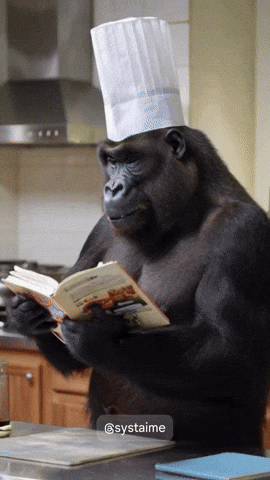 Cook GIF by systaime