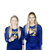 RegisVolleyball volleyball kennedy haley skala Sticker