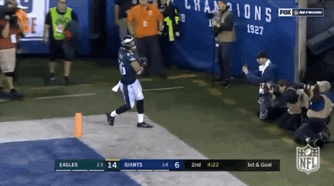 2018 nfl football GIF by NFL