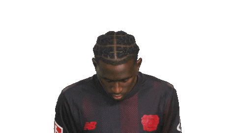 Bayer Leverkusen Sticker by Bundesliga