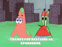 season 8 GIF by SpongeBob SquarePants