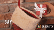 Christmas Holiday GIF by DrSquatchSoapCo