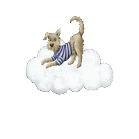 Dog Food Puppy Sticker by velivery
