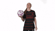 Captain America GIF by National Women's Soccer League