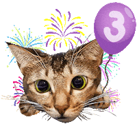 New Year Cat Sticker