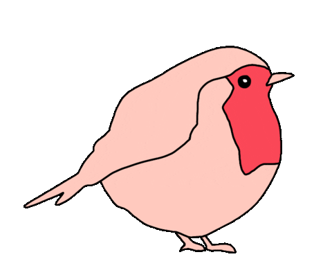 Bird Robin Sticker by Waltermedia