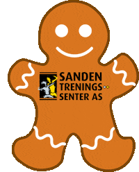 Sandengrafikk5 Sticker by Sanden Treningssenter
