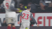celebrate premier league GIF by Liverpool FC