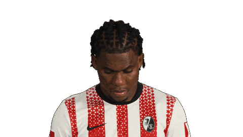 Look Up Sc Freiburg Sticker by Bundesliga