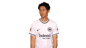 Eintracht Frankfurt No Sticker by Bundesliga