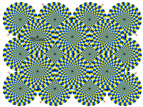 circle GIF