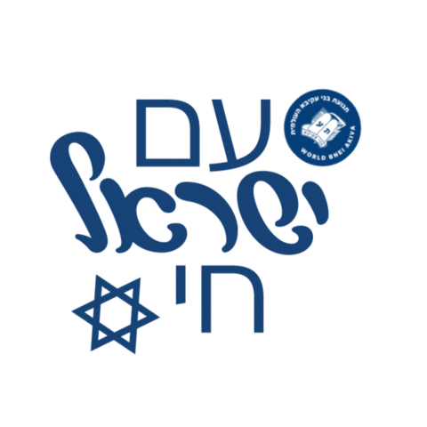 Jewish Gapyear Sticker by WorldBneiAkiva
