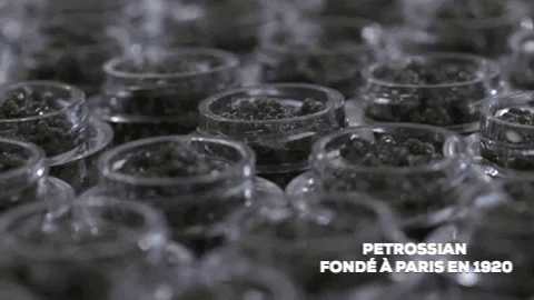 christmas celebrate GIF by Petrossian