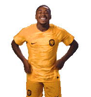 Fifaworldcup Celebrating Sticker by OnsOranje