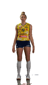 Fahr Sticker by ImocoVolley