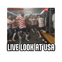 Team Usa Locker Room Sticker by Bovada