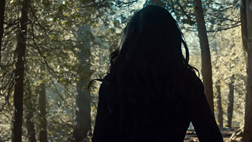 freeform GIF by Shadowhunters