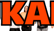 Tongue Nz GIF by Flava