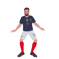France Football Sticker by Panini America