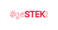 Stek Paint Protection Sticker by Spandex Austria