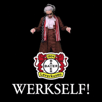 Bayer 04 Bundesliga GIF