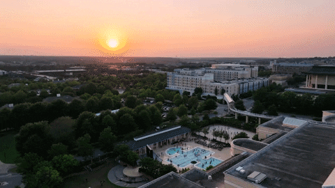 Pool Sunset GIF by University of South Carolina