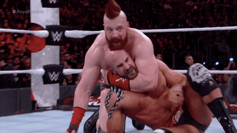 Seth Rollins Reaction GIF by WWE